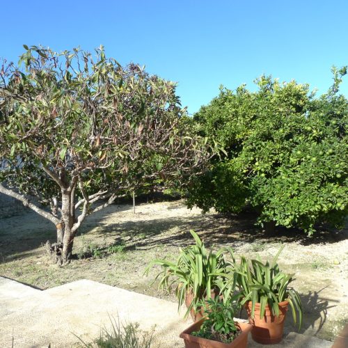 1963-villa-for-sale-in-javea-260243-large.jpg