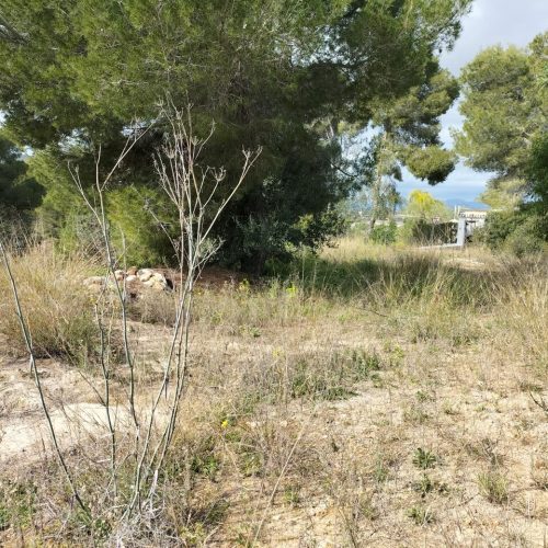 3566-plot-for-sale-in-javea-409256-large.jpg