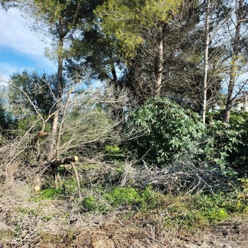 4008-plot-for-sale-in-javea-399006-large.jpg