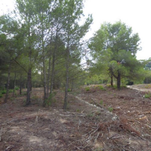 5-b932bcf4fe2dcf29ec63deb5c5ded9de-22.jpg