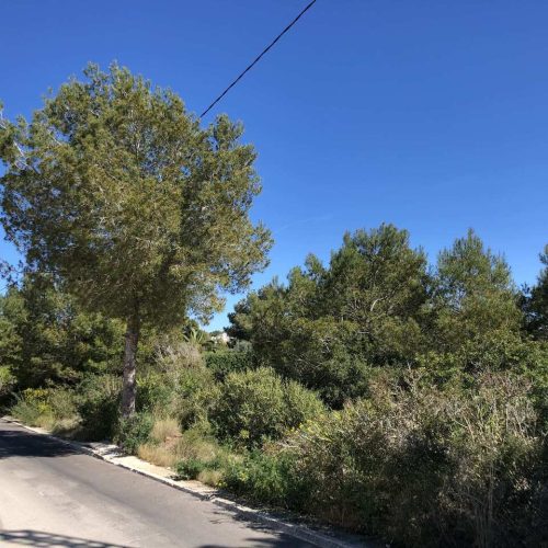plot-in-javea-4-large.jpg