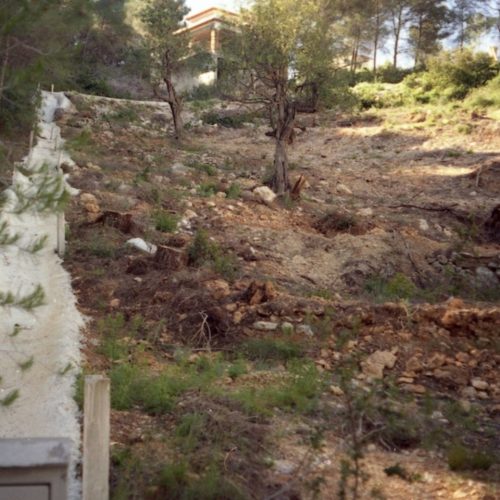 plot-in-javea-8-large.jpg